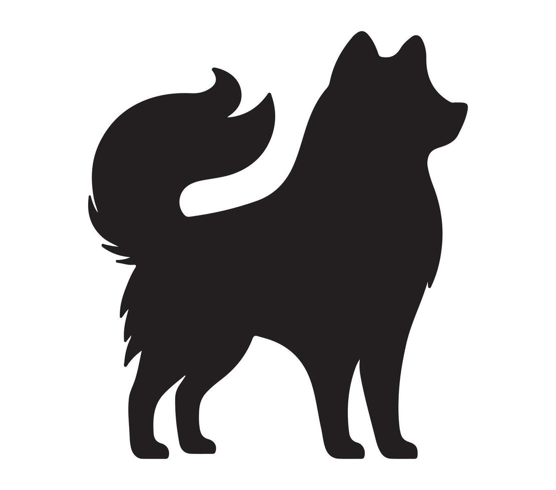 American Eskimo Black Silhouette on white background vector