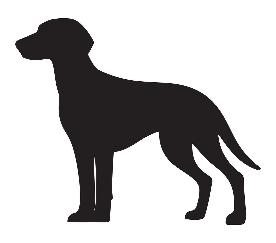 American Foxhound Black Silhouette on white background vector
