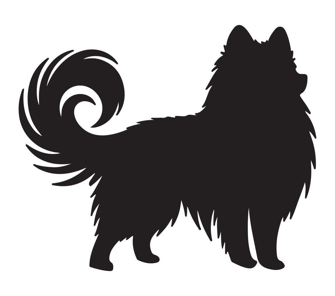 American Eskimo Black Silhouette on white background vector