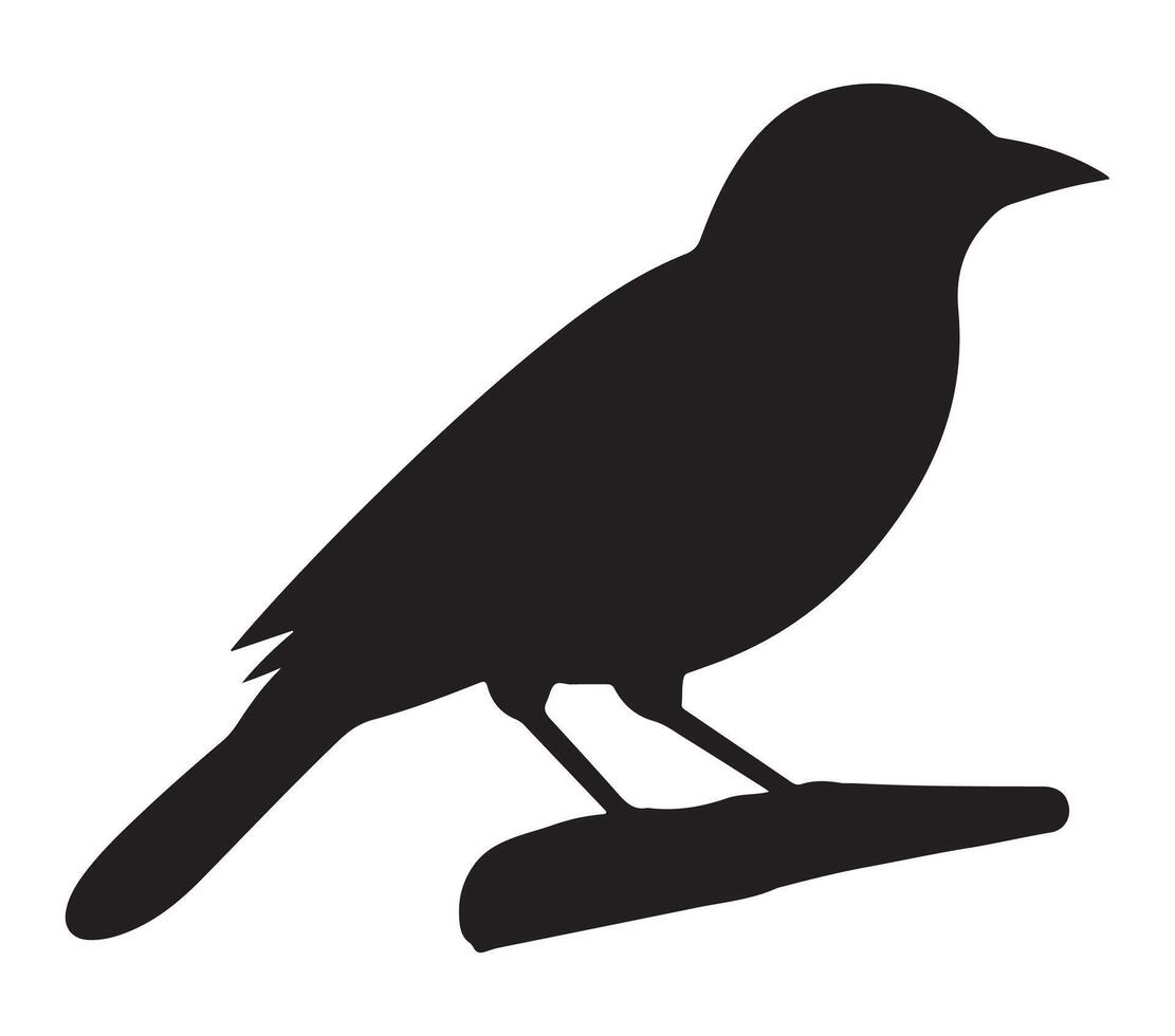 African Black-headed Oriole Black Silhouette on white background vector