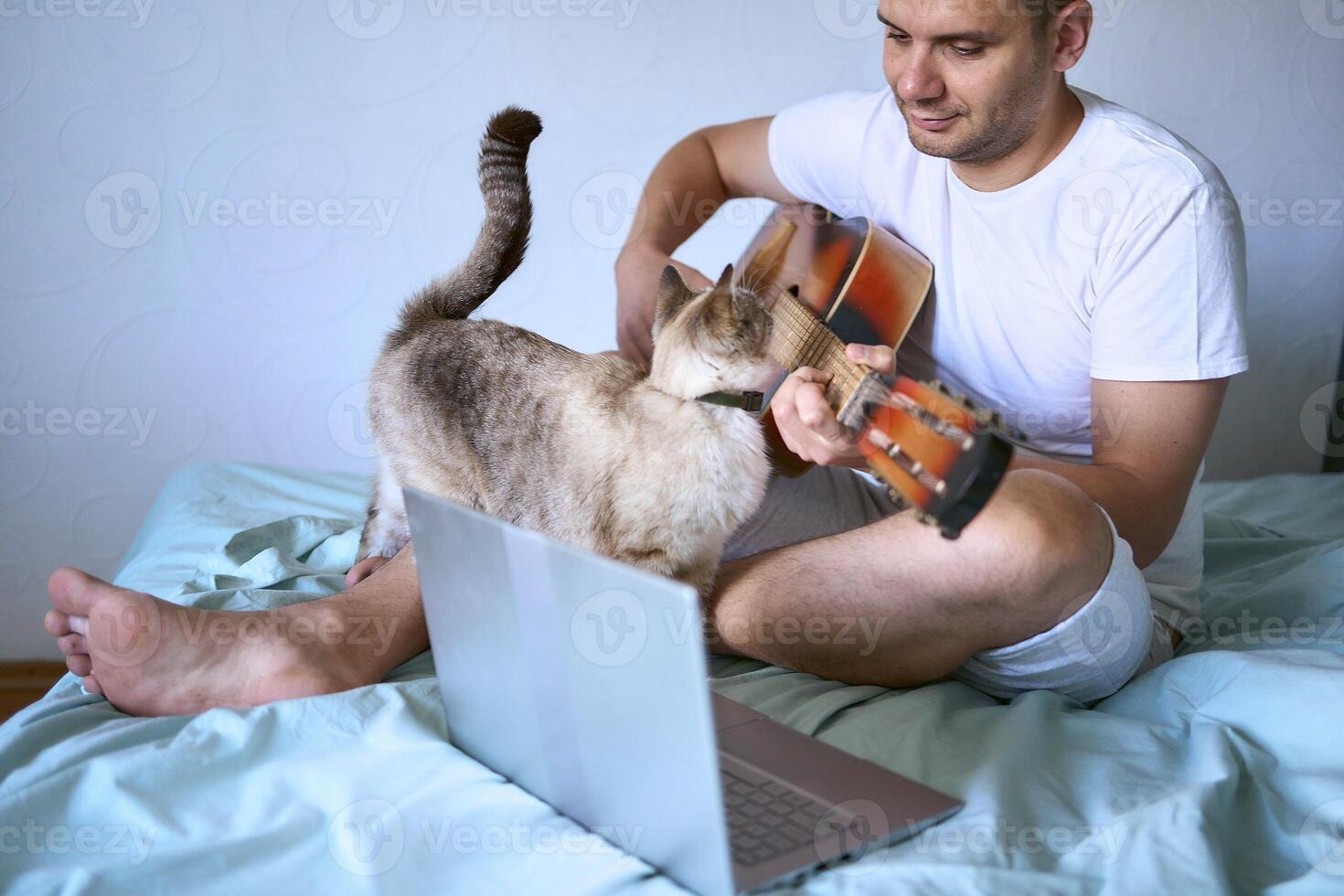 a young man is learning to play the guitar at home using online lessons on a laptop, the cat demands attention and interferes photo