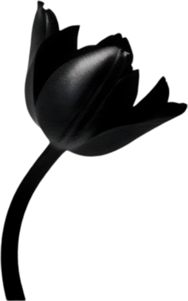 Charming tulip clipart adds spring vibes. AI-generated. png