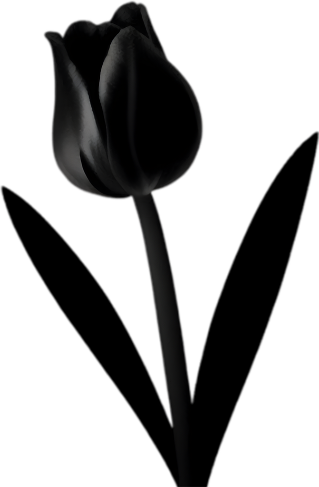 Charming tulip clipart adds spring vibes. AI-generated. png