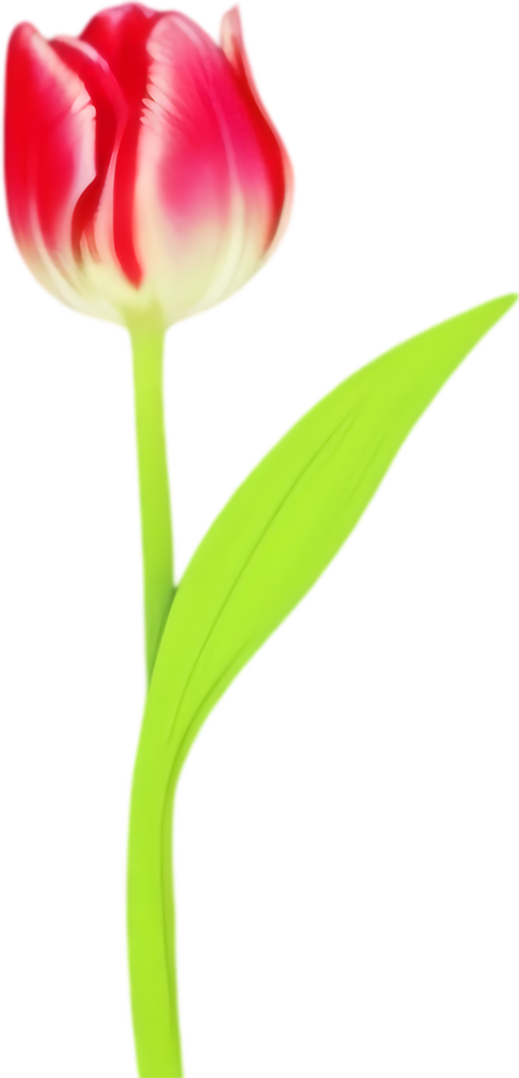 Charming tulip clipart adds spring vibes. AI-generated. png