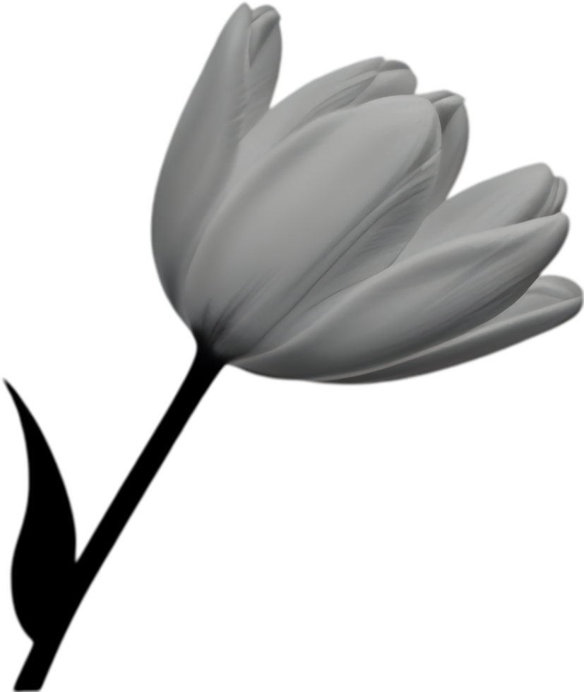 Charming tulip clipart adds spring vibes. AI-generated. png