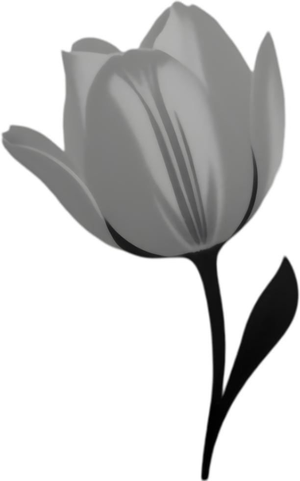 Charming tulip clipart adds spring vibes. AI-generated. png