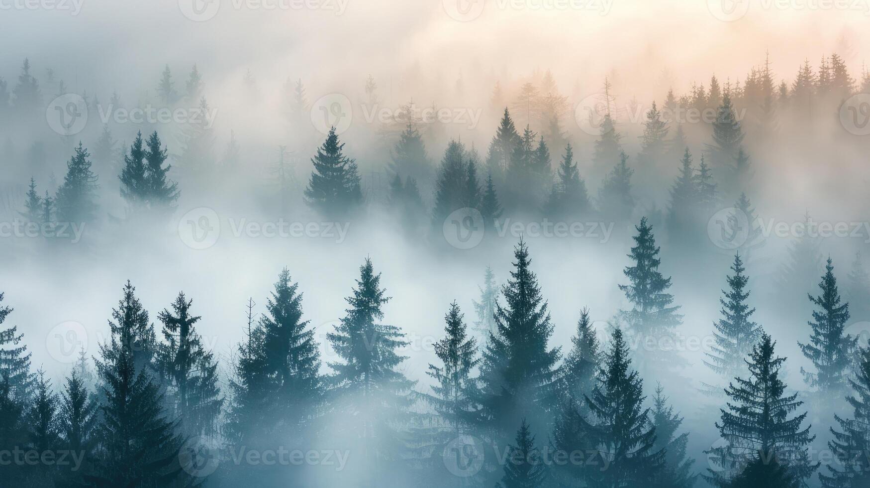 Misty landscape with spruce forest in morning in Mountains. Silhouettes of trees emerge from the fog. photo