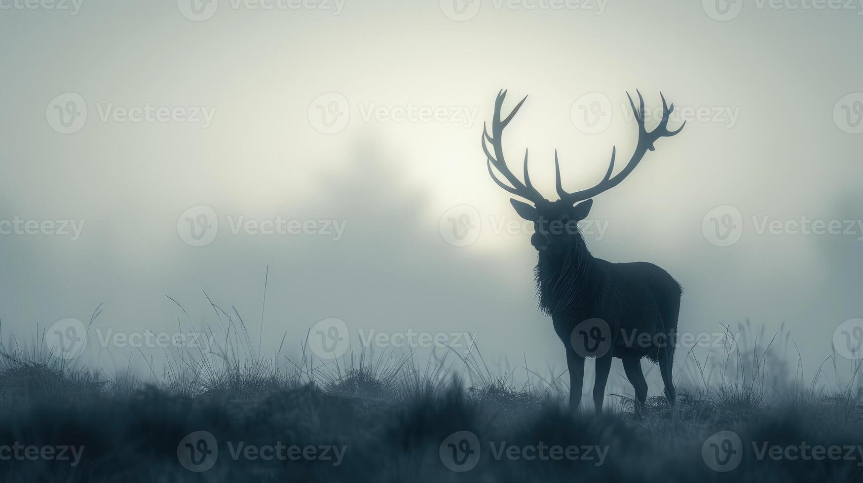 Majestic red deer stag with impressive antlers standing in a foggy forest landscape photo
