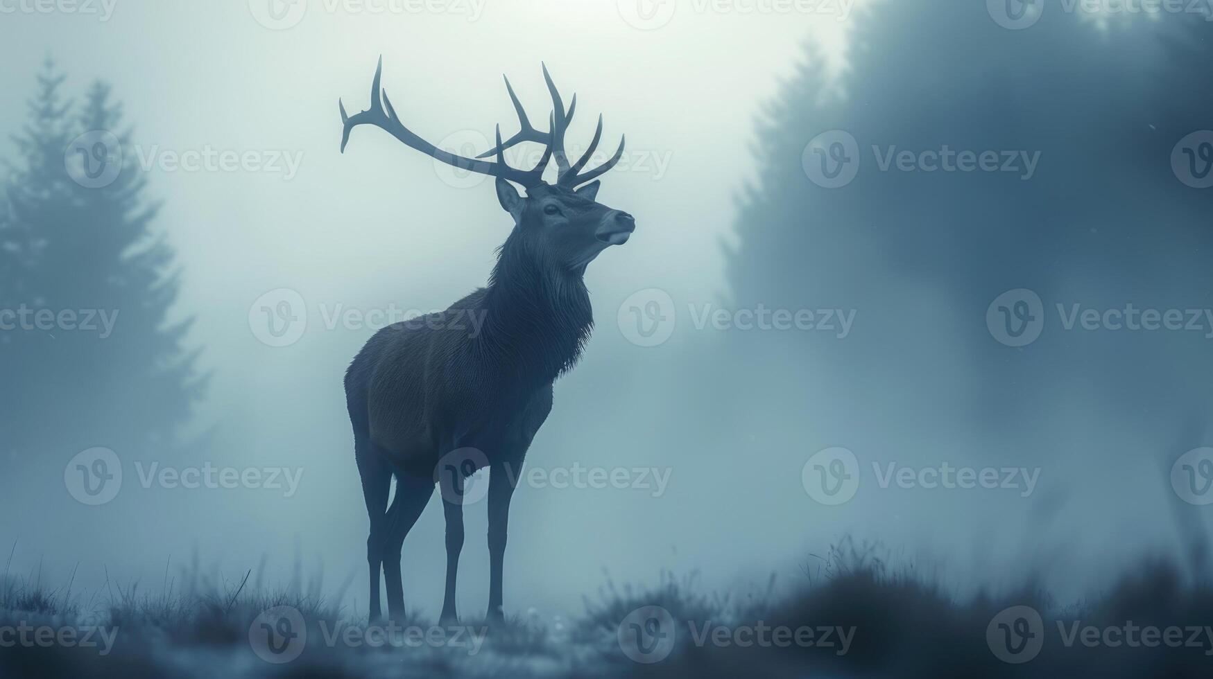 Majestic red deer stag with impressive antlers standing in a foggy forest landscape photo