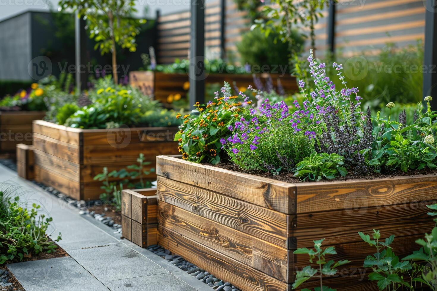 Wooden raised beds in modern urban garden with growing plants flowers herbs spices and vegetables. photo