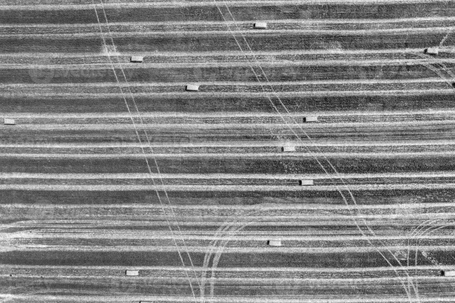Aerial drone view of the mown field with scattered hay bales and tractor traces photo
