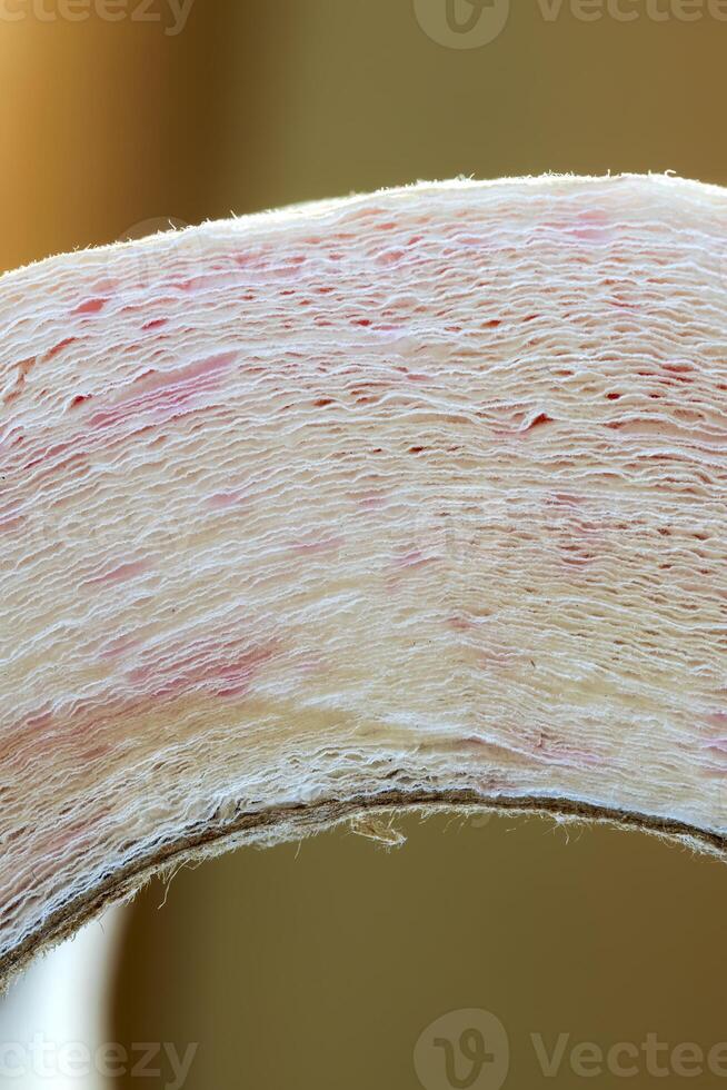 Close-up of a part of a roll of toilet paper. Vertical view photo