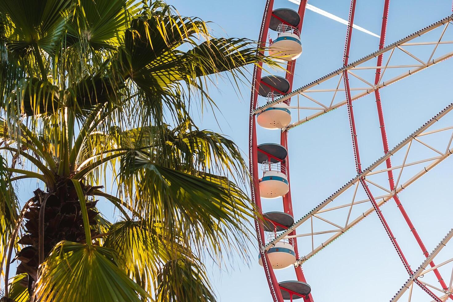 View of the Ferris wheel attraction against a background of blue sky between palm trees. Ferris wheel in the Georgian city of Batumi. photo