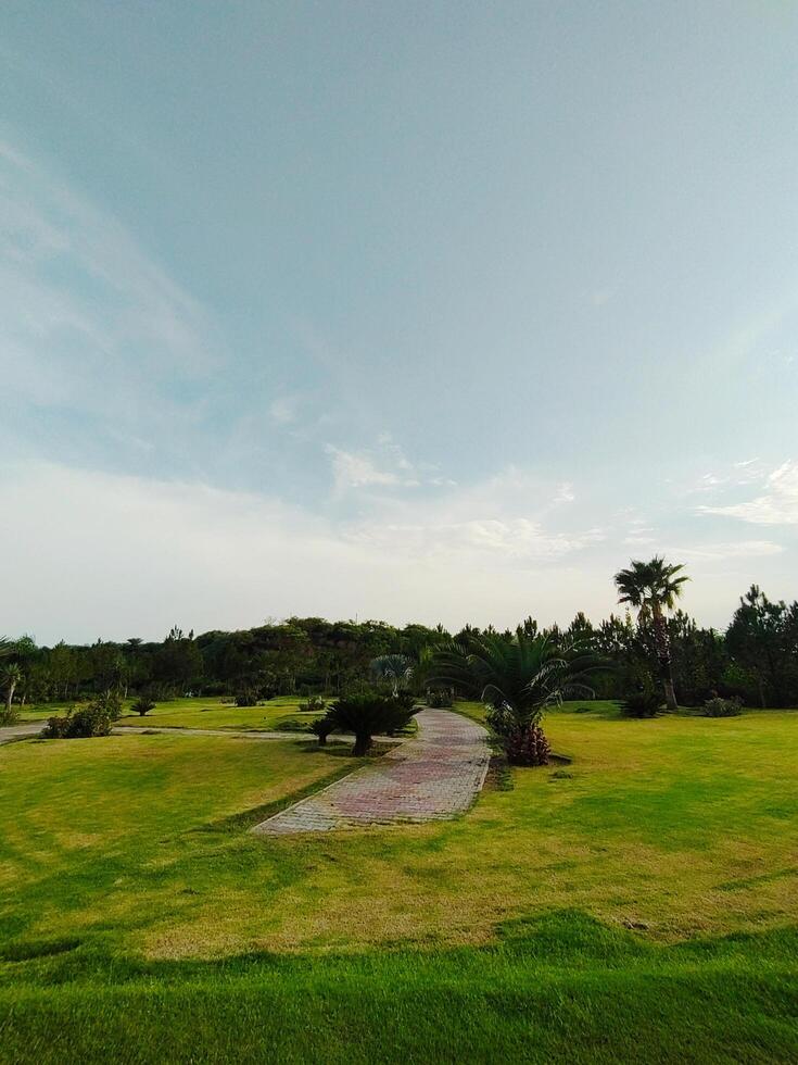 A Background with Green Grass with a Walking Track in it. Trees, Sky Beautiful Scenic View. photo