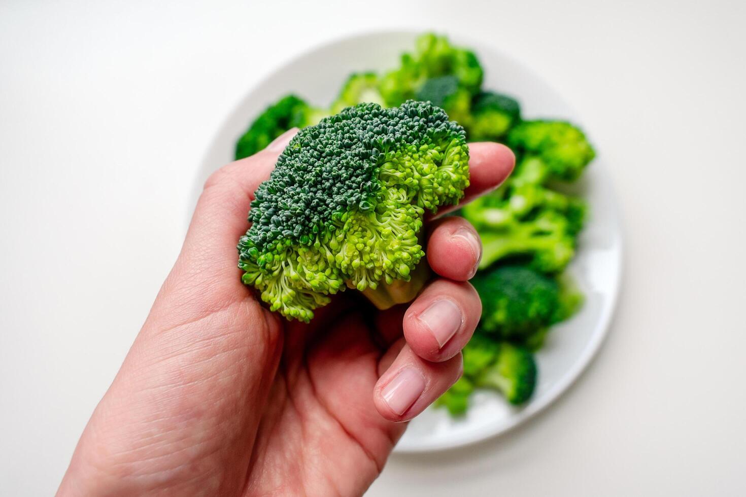 Broccoli in a woman's hand against the background of a plate of broccoli. Broccoli on a white plate. photo