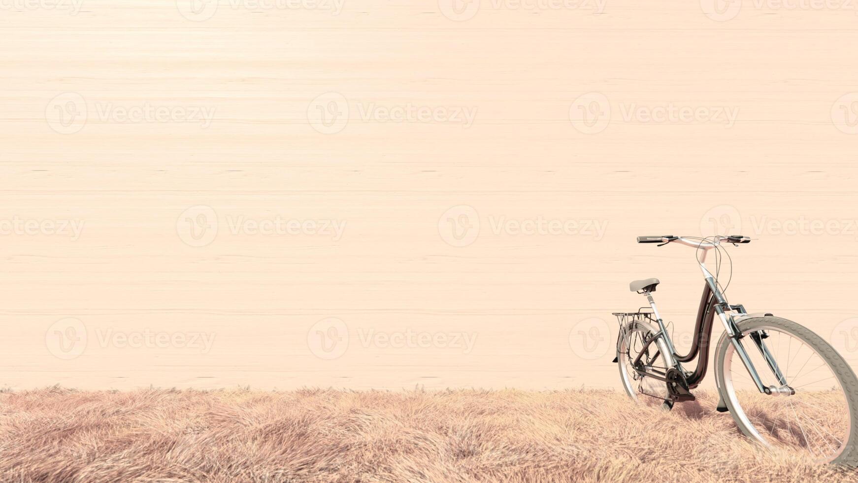 a bicycle is parked in a field with grass photo
