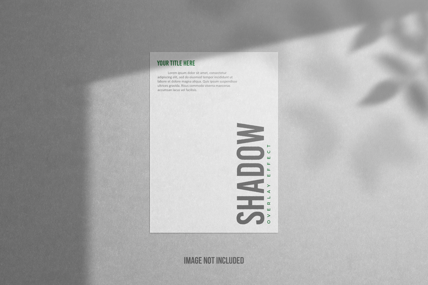 Shadow Overlay with White Paper and Gray Texture vol 35 psd