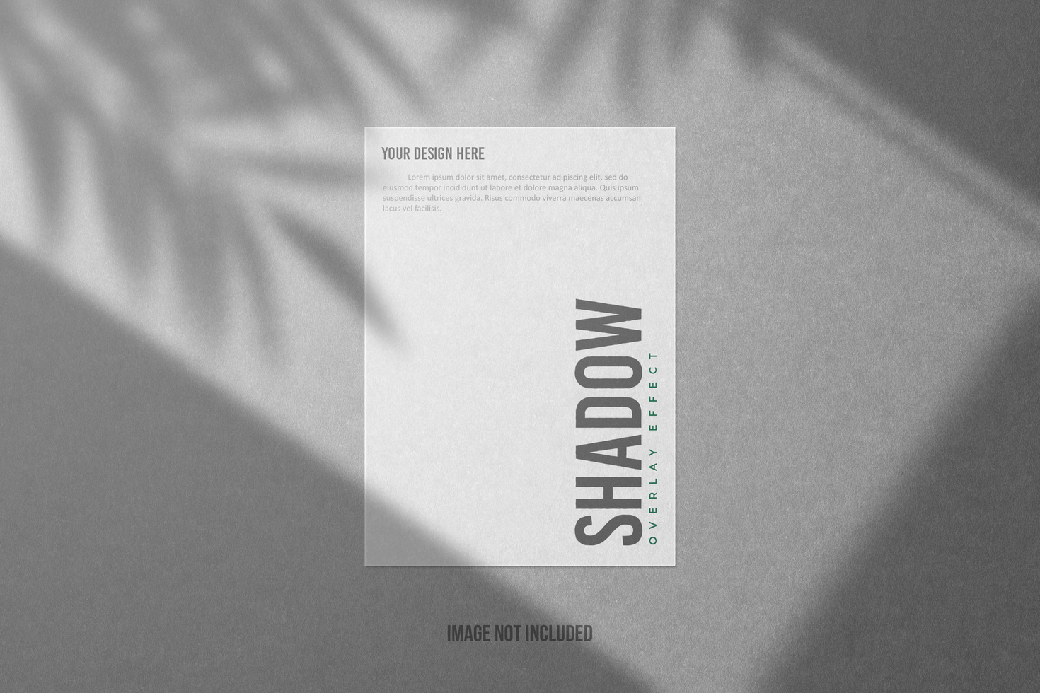 Shadow Overlay with White Paper and Gray Texture vol 17 psd
