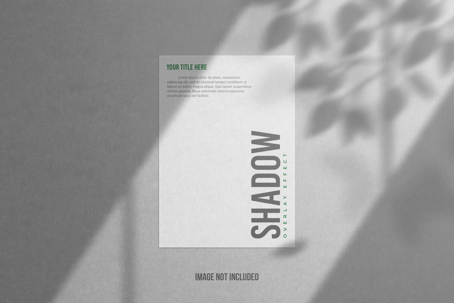 Shadow Overlay with White Paper and Gray Texture vol 32 psd