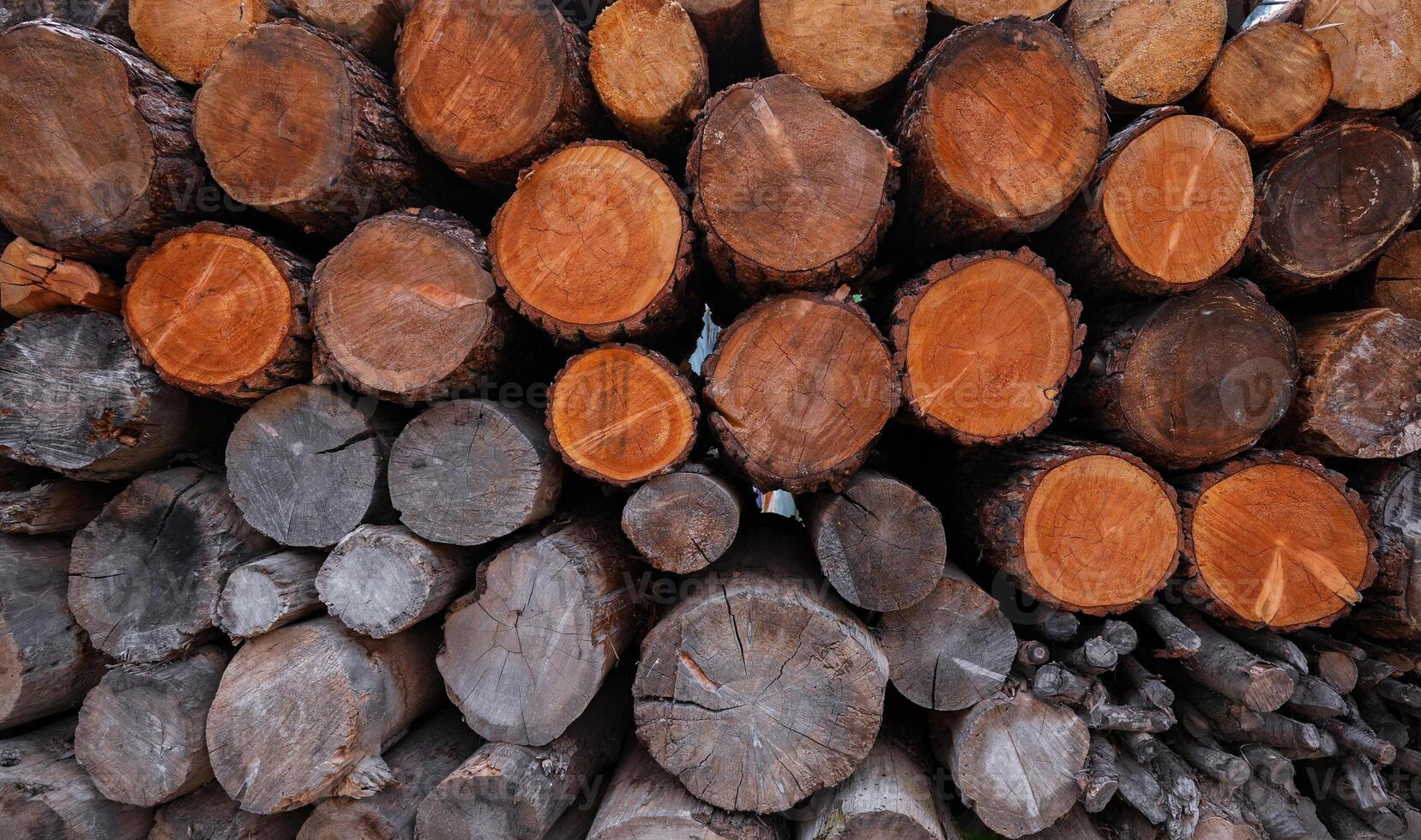 Background of dry chopped firewood logs in a pile photo