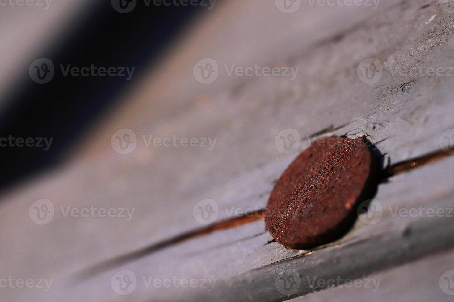Rusty Nail on Painted Weathered Wood. Sunshine Evening. Macro Closeup. photo