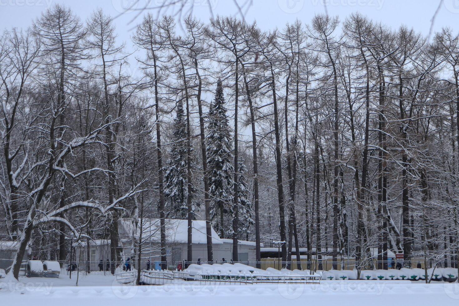Pier over the snow in the park photo
