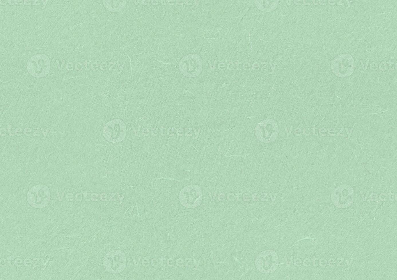 Handmade Rice Paper Texture. Fringy Flower, Surf, Gum Leaf Color. Seamless Transition. Creative Digital Paper for the Creation Background. photo