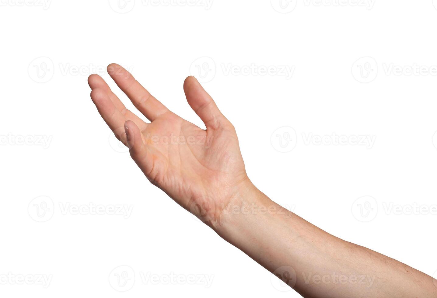 Hand arm isolated white take up hold object palm adult skin. Young concept showing business pick photo