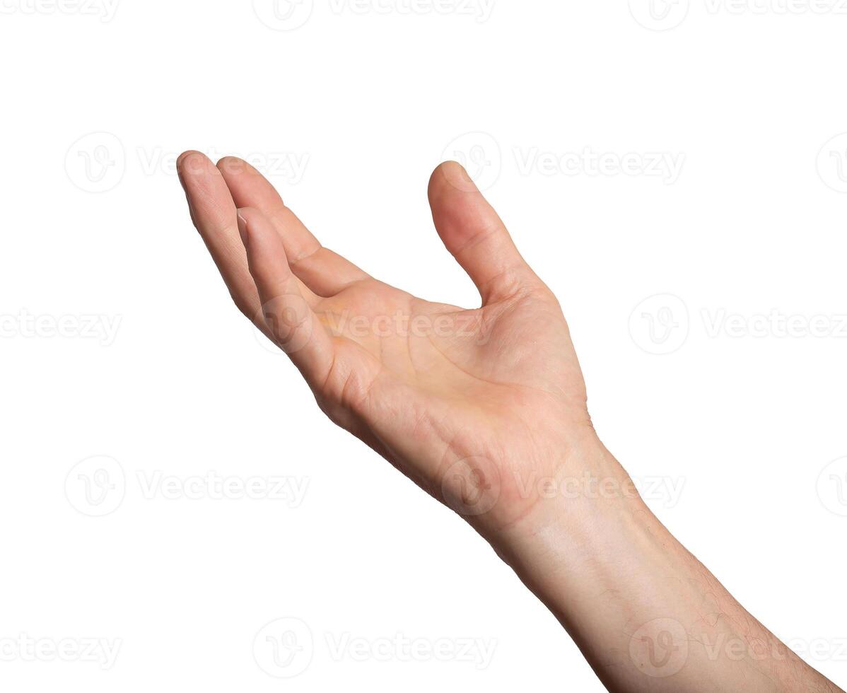 Hand arm isolated white take up hold person. Reach grab man gesture open out background human catch photo