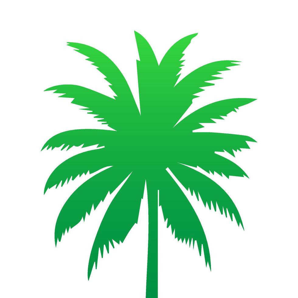 Green palm tree isolated on white background. Palm silhouette vector