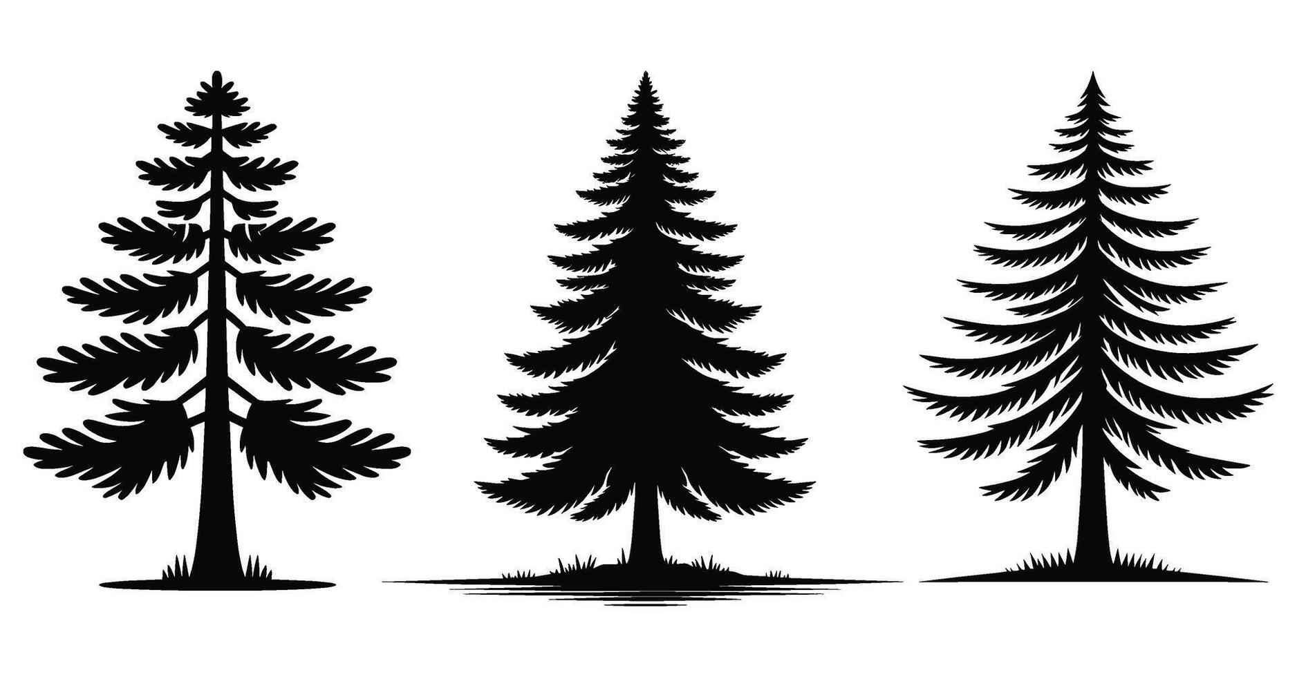 Set of Pine Tree silhouettes illustration Isolated on White Background vector
