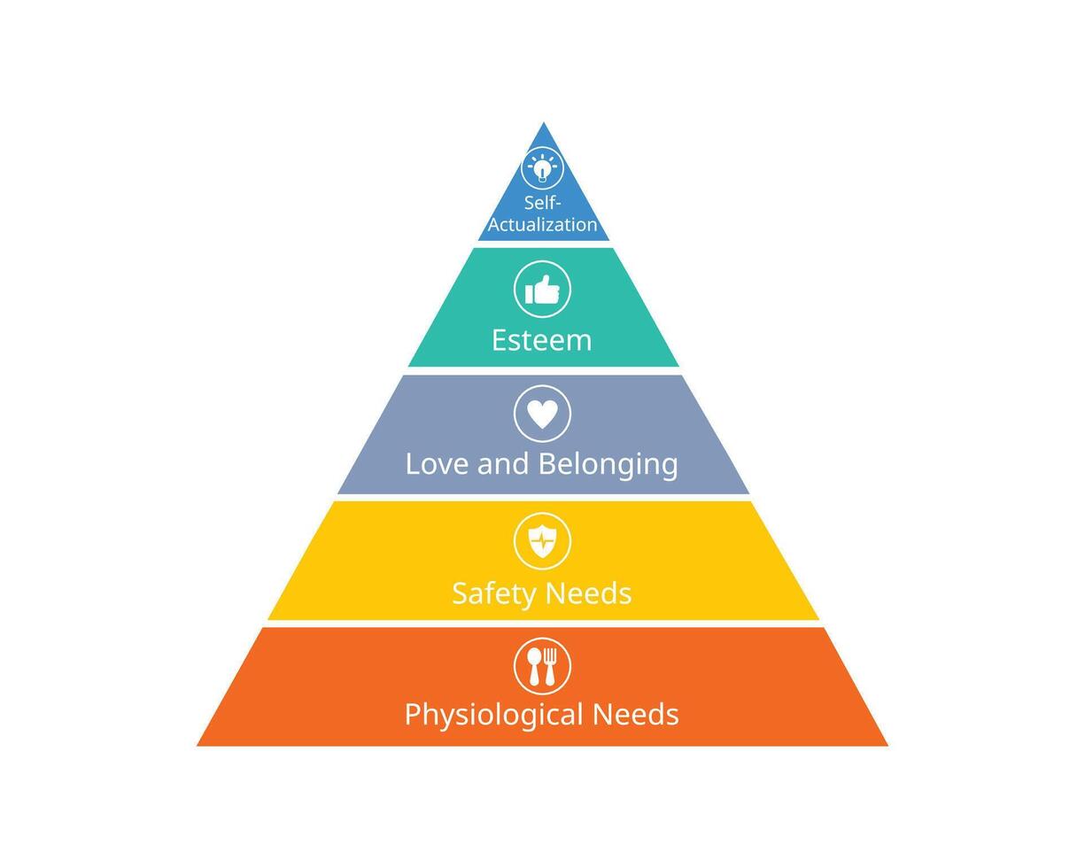 hierarchy needs include physiological needs, safety, love, self esteemed, self actualization vector