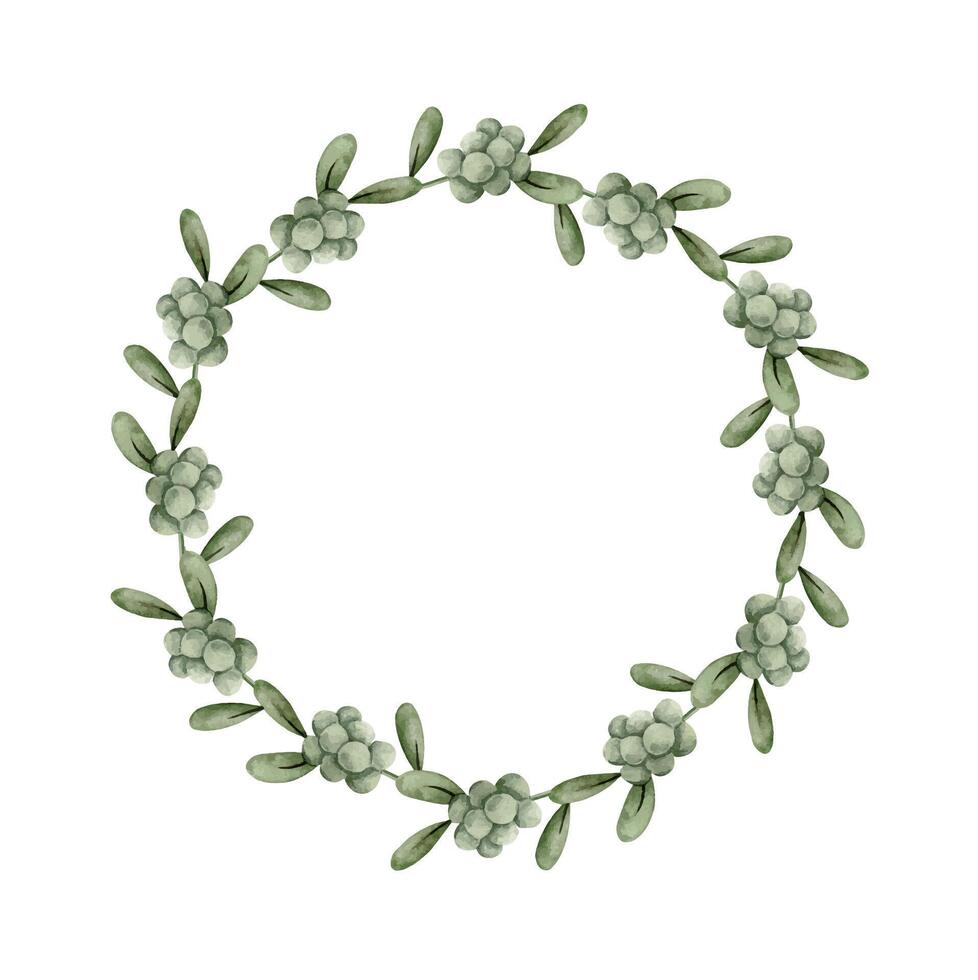 New Years Christmas hand drawn watercolor wreath of mistletoe, branch with green berries vector