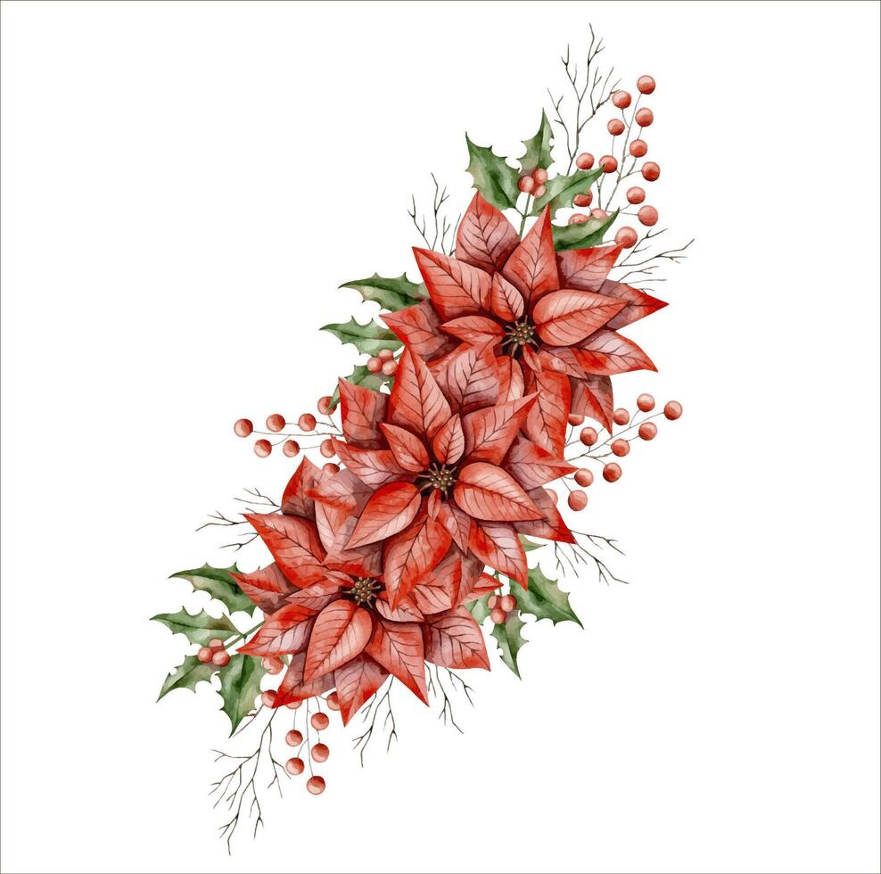 New Years Christmas hand drawn watercolor illustration with poinsettia, holly branch, branch of tree without leaves and branch with berries vector