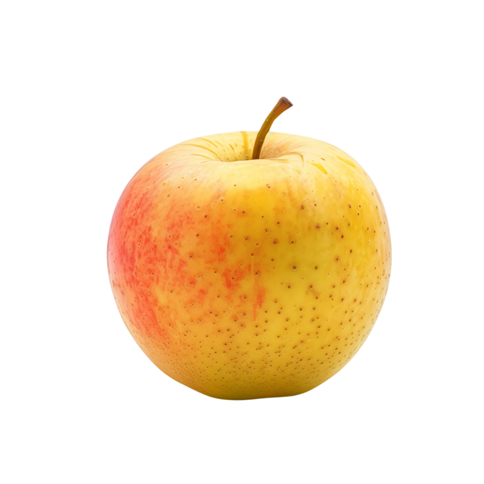 A single yellow and rad apple isolated on a transparent backgroundA single yellow and rad apple isolated on a transparent background png