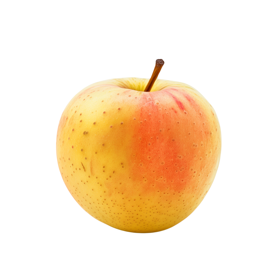 A single yellow and rad apple isolated on a transparent backgroundA single yellow and rad apple isolated on a transparent background png