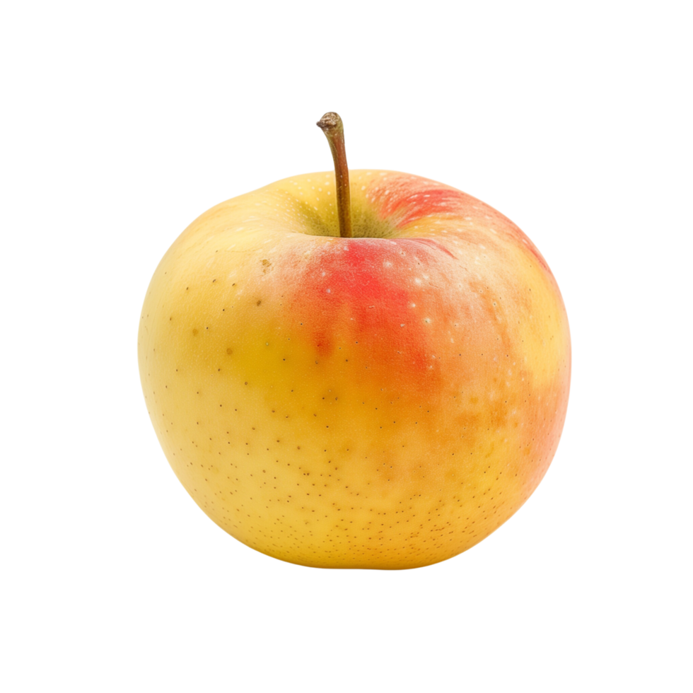 A single yellow and rad apple isolated on a transparent backgroundA single yellow and rad apple isolated on a transparent background png