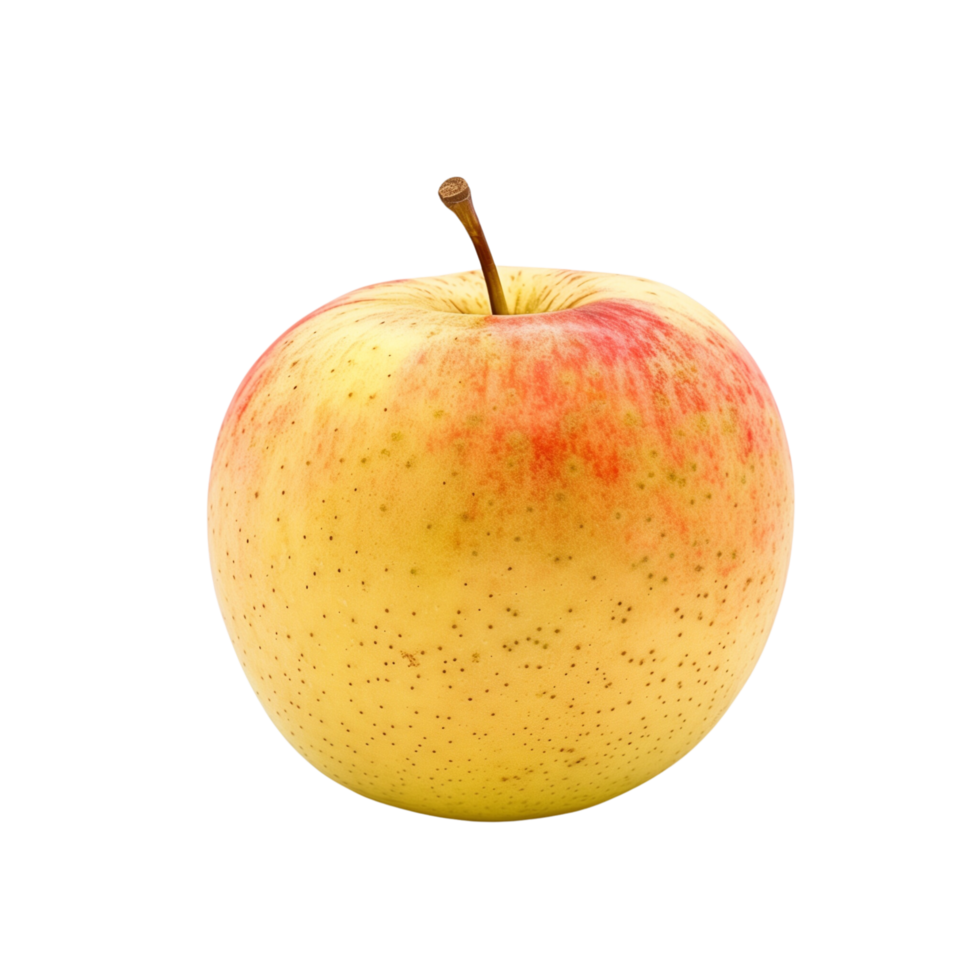 A single yellow and rad apple isolated on a transparent backgroundA single yellow and rad apple isolated on a transparent background png