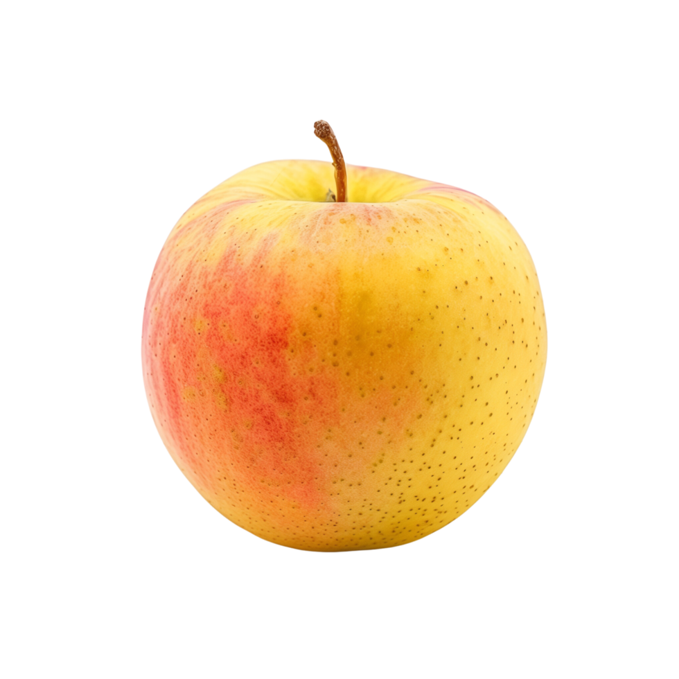 A single yellow and rad apple isolated on a transparent backgroundA single yellow and rad apple isolated on a transparent background png