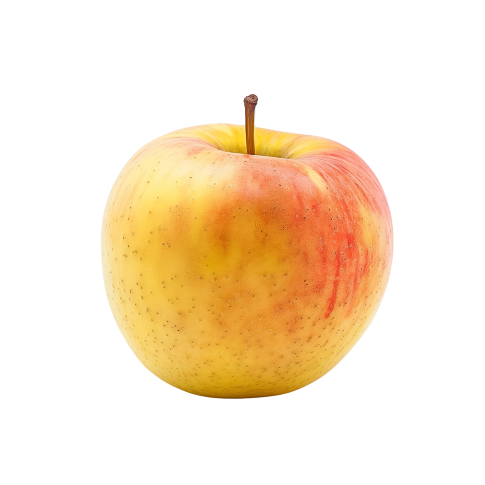 A single yellow and rad apple isolated on a transparent backgroundA single yellow and rad apple isolated on a transparent background png