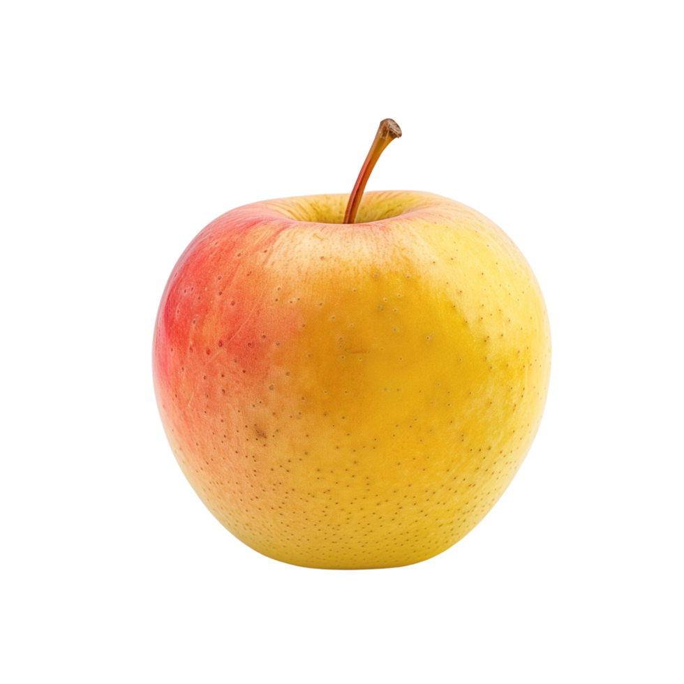 A single yellow and rad apple isolated on a transparent backgroundA single yellow and rad apple isolated on a transparent background png