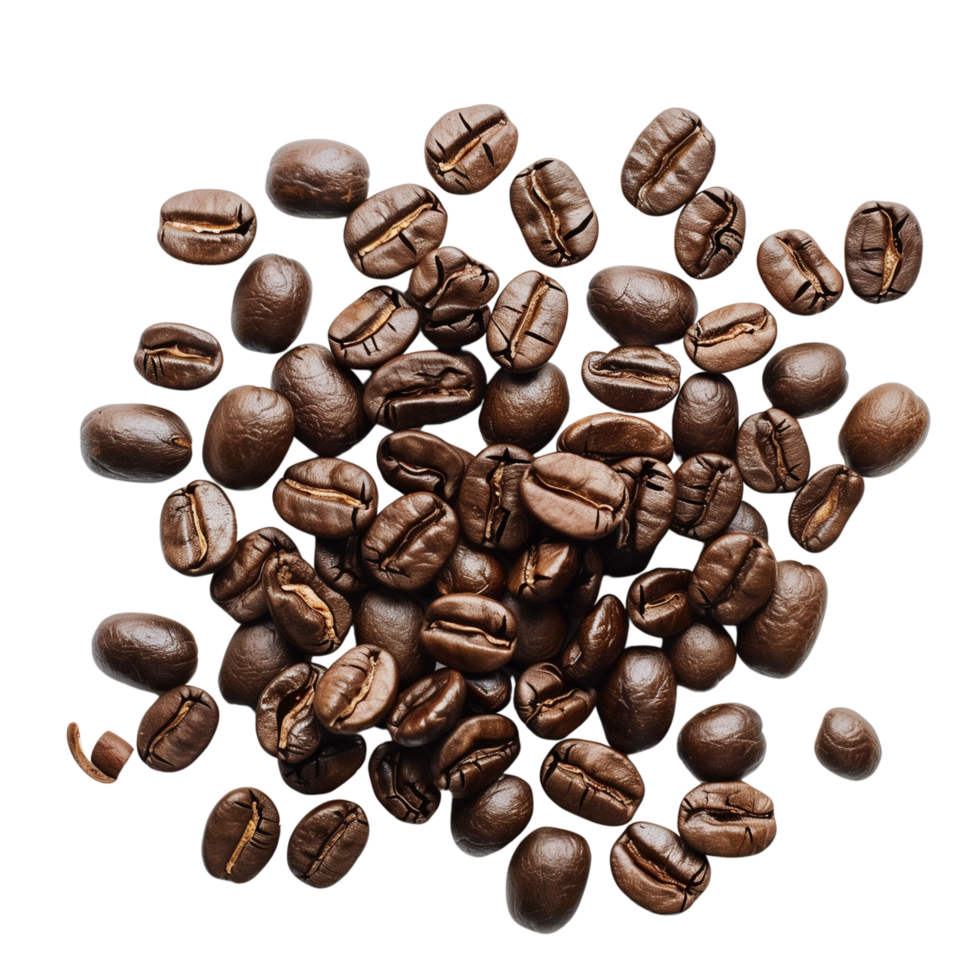 A roasted coffee beans scattered isolated on a transparent background png