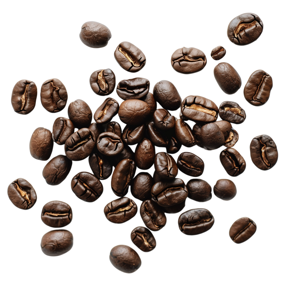 A roasted coffee beans scattered isolated on a transparent background png