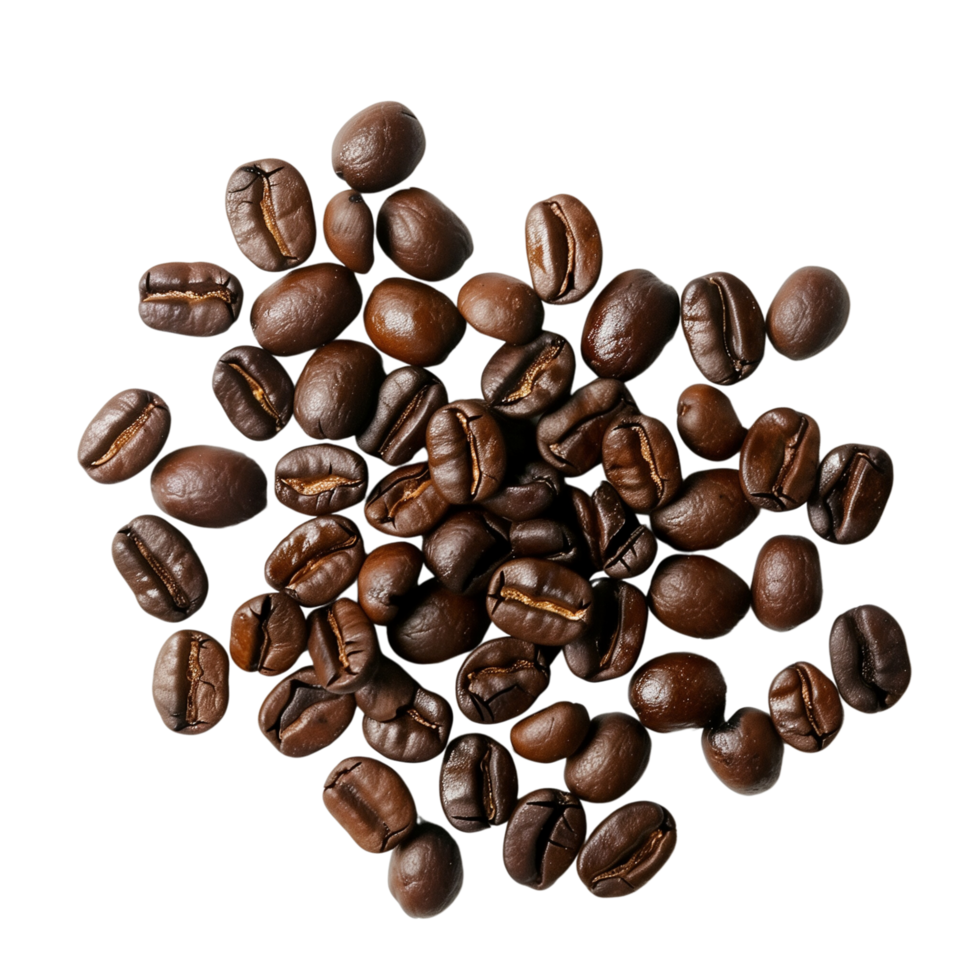 A roasted coffee beans scattered isolated on a transparent background png