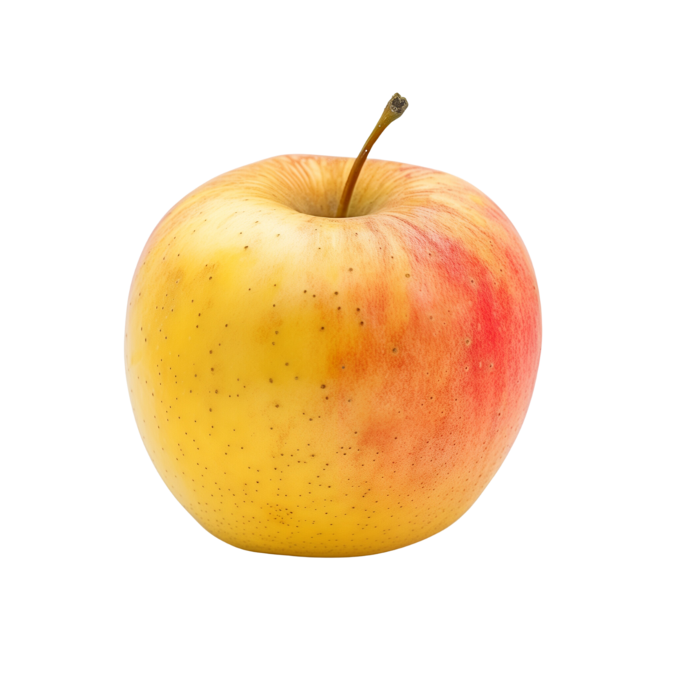 A single yellow and rad apple isolated on a transparent backgroundA single yellow and rad apple isolated on a transparent background png