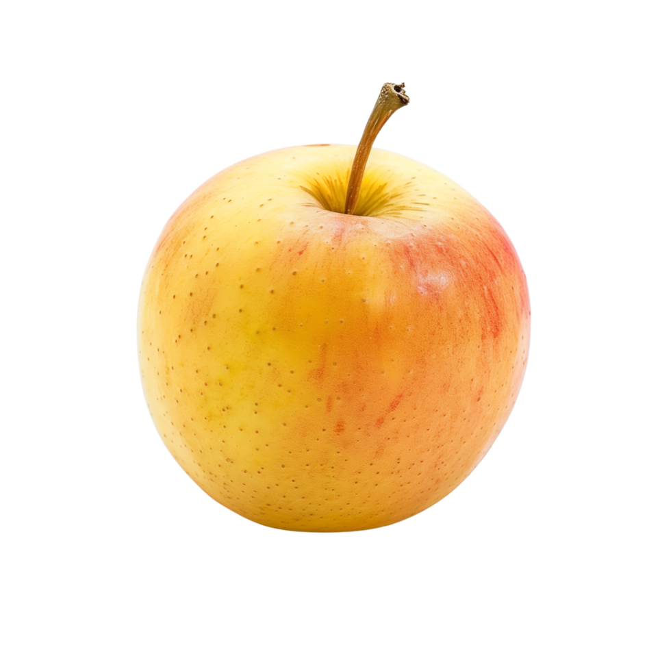 A single yellow and rad apple isolated on a transparent backgroundA single yellow and rad apple isolated on a transparent background png