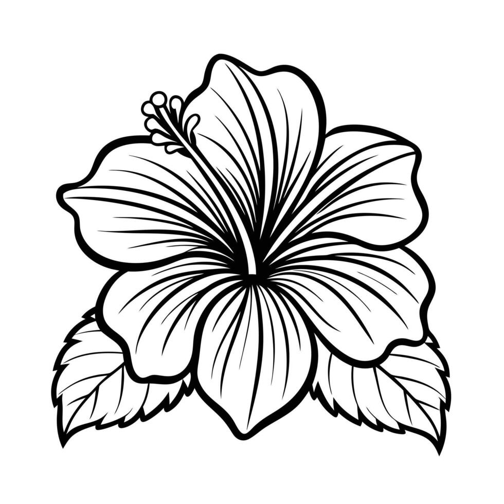 hibiscus flower illustration vector