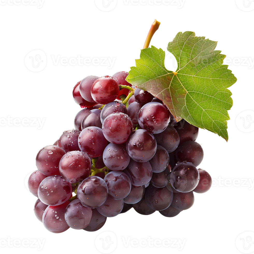 A cluster of grapes, isolated on a transparent background png