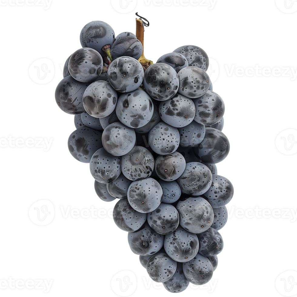 A cluster of grapes, isolated on a transparent background png