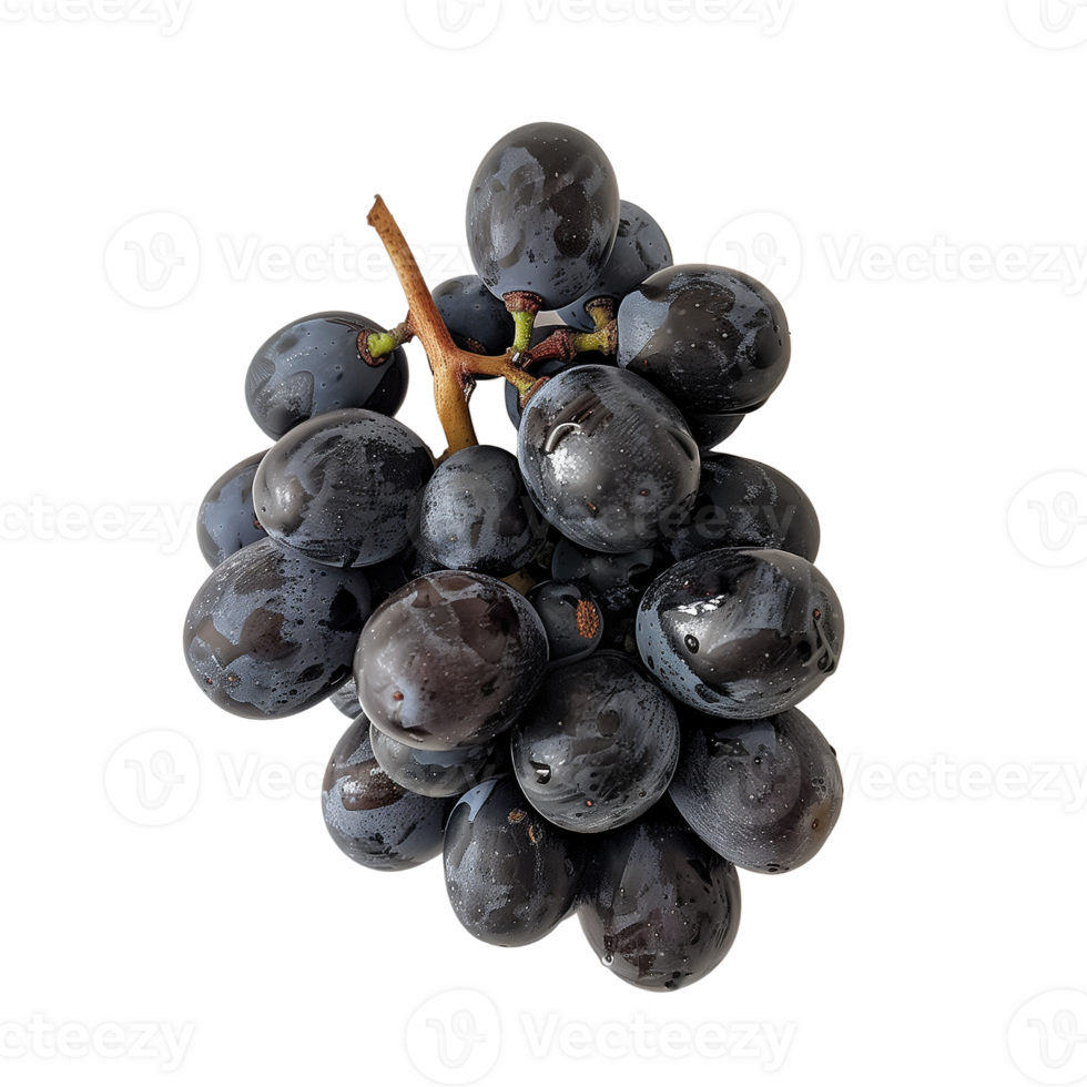 A cluster of grapes, isolated on a transparent background png